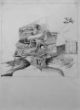 Freak out - Marjo van Rest - 29,5x42 cm - potlood op papier.jpg
