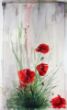 Ivo Winnubst - Klaproos in Feyneraud (F) - 30x50 cm - aquarel op papier.jpg