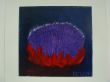 De vuurbloem - Felice - 18x18 cm - olieverf op linnen.jpg