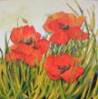 Klaprozen - Anneke Poetsma - Huijgen - 80x80 cm - acryl op linnen.jpg
